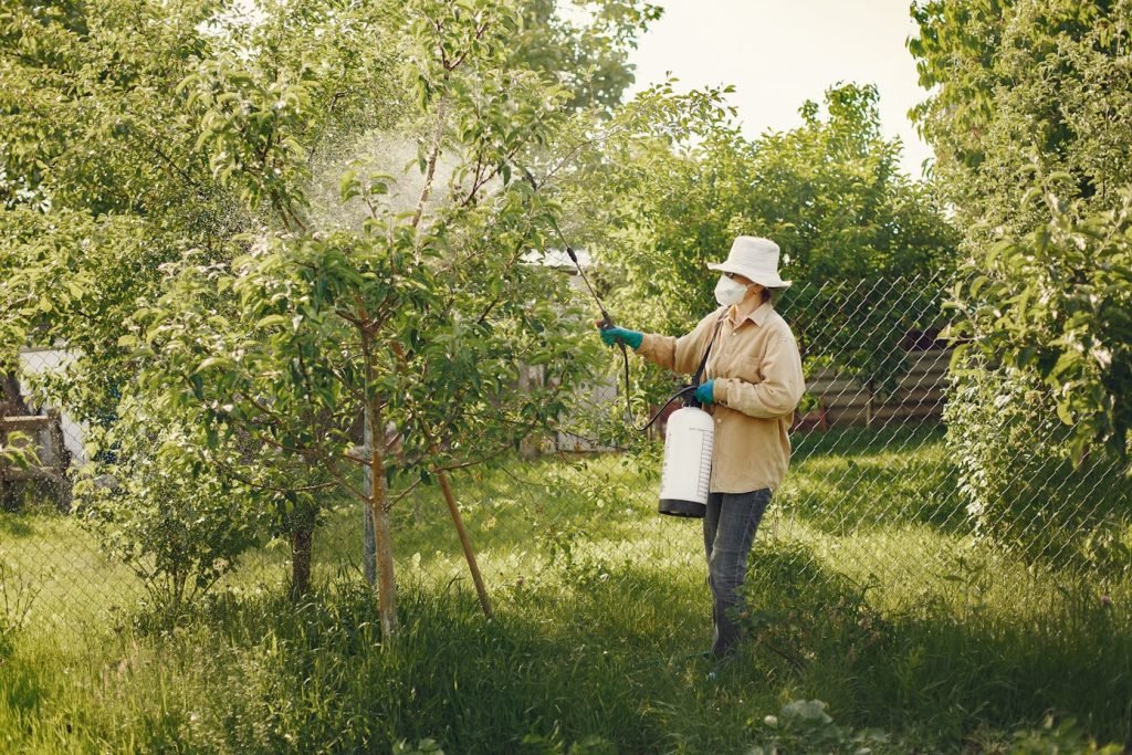 Person spraying pesticides on trees and how they negatively impact biodiversity in gardens.